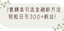 1套精准引流金融粉方法，轻松日引300+粉丝【视频课程】