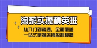 淘系实操精英班：从入门到精通，全面覆盖，一站式掌握店铺盈利秘籍