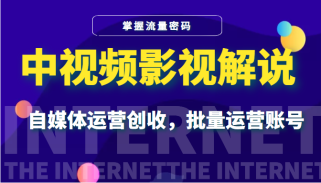 中视频影视解说—掌握流量密码，自媒体运营创收，批量运营账号