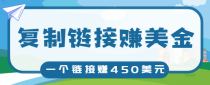 复制链接赚美元，一个链接可赚450+，利用链接点击即可赚钱的项目