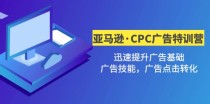 亚马逊CPC广告·2期特训营，迅速提升广告基础，广告技能，广告点击转化