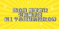 随心推爆单秘诀，短视频带货-超1个小目标的投放心得（7节视频课）