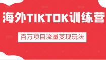 海外TIKTOK训练营，百万项目海外版抖音tiktok流量变现玩法