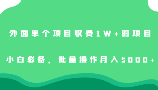 外面单个项目收费1W+的项目，小白必备，批量操作月入5000+