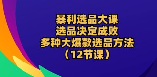 暴利选品大课：选品决定成败，教你多种大爆款选品方法（12节课）