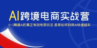 AI跨境电商实操营：0-1精通Al的真正有效电商玩法 卖家如何利用Al快速超车