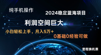 2024新蓝海项目 无门槛高利润长期稳定  纯手机操作 单日收益2000+ 小白当天上手