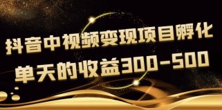 《抖音中视频变现项目孵化》单天的收益300-500 操作简单粗暴（无水印）