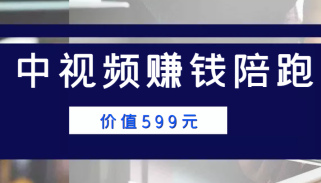 中视频赚钱陪跑，卖中视频账户赚钱收益陪跑项目（价值599元）