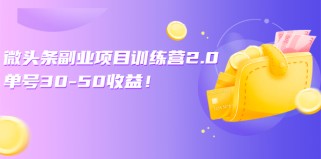 微头条副业项目训练营1.0+2.0：单号30-50收益！（无水印）