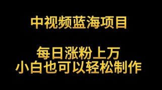 中视频蓝海项目，解读英雄人物生平，每日涨粉上万，小白也可以轻松制作，月入过万