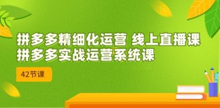 拼多多精细化运营 线上直播课：拼多多实战运营系统课（更新47节）