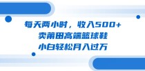 每天两小时，收入500+，卖莆田高端篮球鞋，小白轻松月入过万（教程+素材）