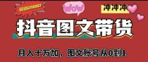 抖音图文带货，月入10w+【图文账号从0到1】