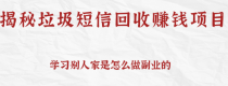 揭秘垃圾短信回收赚钱项目，可利用信息差操作一条10元，日撸无上限【视频教程】