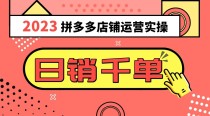 2023拼多多运营实操，每天30分钟日销1000＋，爆款选品技巧大全（10节课）