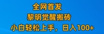 最新腾讯游戏搬砖，保姆级教学，每天二十分钟，新手多号也能日入100+