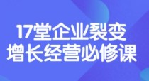 盈利增长17堂必修课，企业裂变增长的经营智慧，带你了解增长的本质