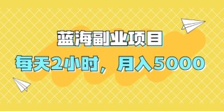 蓝海副业项目，每天2小时，月入5000，附详细操作流程