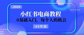 2024从0-1学习小红书电商，0基础入门，每个人的机会（45节）