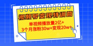 21天视频号变现特训营：单视频播放量2亿+3个月涨粉30w+变现20w+（第14期）