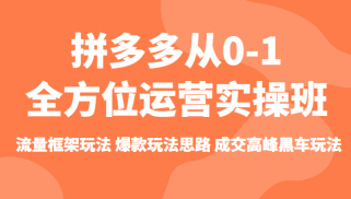 拼多多从0-1全方位运营实操班 流量框架玩法 爆款玩法思路 成交高峰黑车玩法