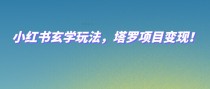 小红书玄学玩法，塔罗项目变现，0成本打造自己的ip不是梦！