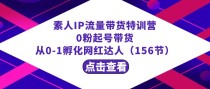 繁星·计划素人IP流量带货特训营：0粉起号带货 从0-1孵化网红达人（156节）