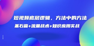 视频底层逻辑，方法中的方法，基石篇+流量战术+知识应用实战（价值389元）