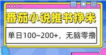 番茄小说推书赚米，单日100~200+，无脑零撸