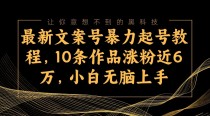 最新文案号暴力起号教程，10条作品涨粉近6万，小白无脑上手