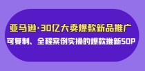 亚马逊30亿大卖爆款新品推广，可复制、全程案例实操的爆款推新SOP