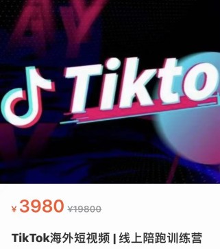 TikTok海外短视频 线上陪跑训练营（价值3980元）