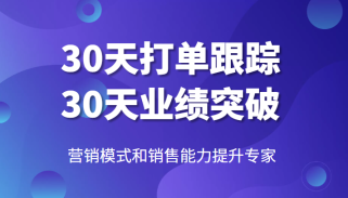 营销模式和销售能力提升专家，30天打单跟踪，30天业绩突破