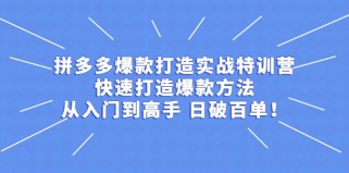 拼多多爆款打造实战特训营：快速打造爆款方法，从入门到高手 日破百单