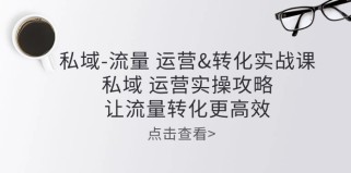 私域流量运营转化实操课：私域运营实操攻略，让流量转化更高效