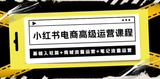 小红书电商高级运营课程：基础入驻篇+商城流量运营+笔记流量运营 