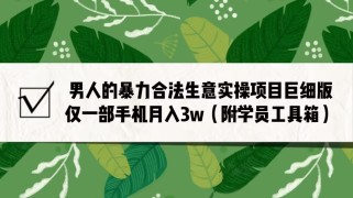 男人的暴力合法生意实操项目巨细版：仅一部手机月入3w（附赠学员工具箱）