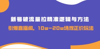 新号破流量拉精准逻辑与方法，引爆直播间，10w-20w场观正价玩法 