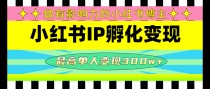 某收费培训-小红书IP孵化变现：做有影响力的小红书博主，最高单人变现300w+