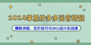 2024掌握拼多多运营精髓：爆款流程、定价技巧与SKU设计实战课