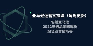 亚马逊运营实操课，包括亚马逊2022选品策略解析，综合运营技巧等 