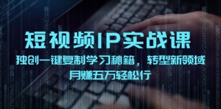 短视频IP实战课，独创一键复制学习秘籍，转战新领域，月赚五万轻松行