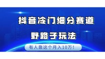 抖音冷门细分赛道野路子玩法，有人靠这个月入10万