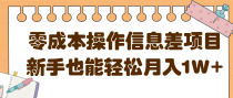 零成本操作信息差项目，新手也能轻松月入1W+【视频教程】