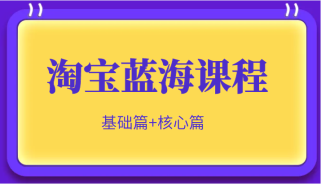 淘宝蓝海暴利产品实操项目，单店利润几千几万（基础篇+核心操作篇）