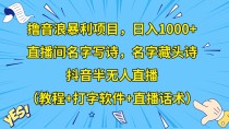 撸音浪暴利日入1000+，名字写诗，名字藏头诗，抖音半无人直播（教程+软件+话术）