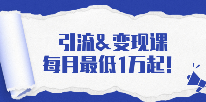 引流变现课：分享一整套流量方法以及各个渠道收入，每月最低1万起