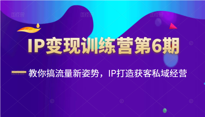 IP变现训练营第6期：教你搞流量新姿势，IP打造获客私域经营