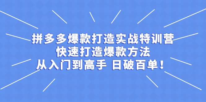 拼多多爆款打造实战特训营：快速打造爆款方法，从入门到高手 日破百单